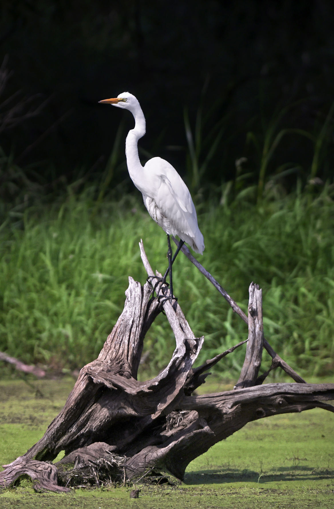 2021_FavoritePhotos_AW_28
